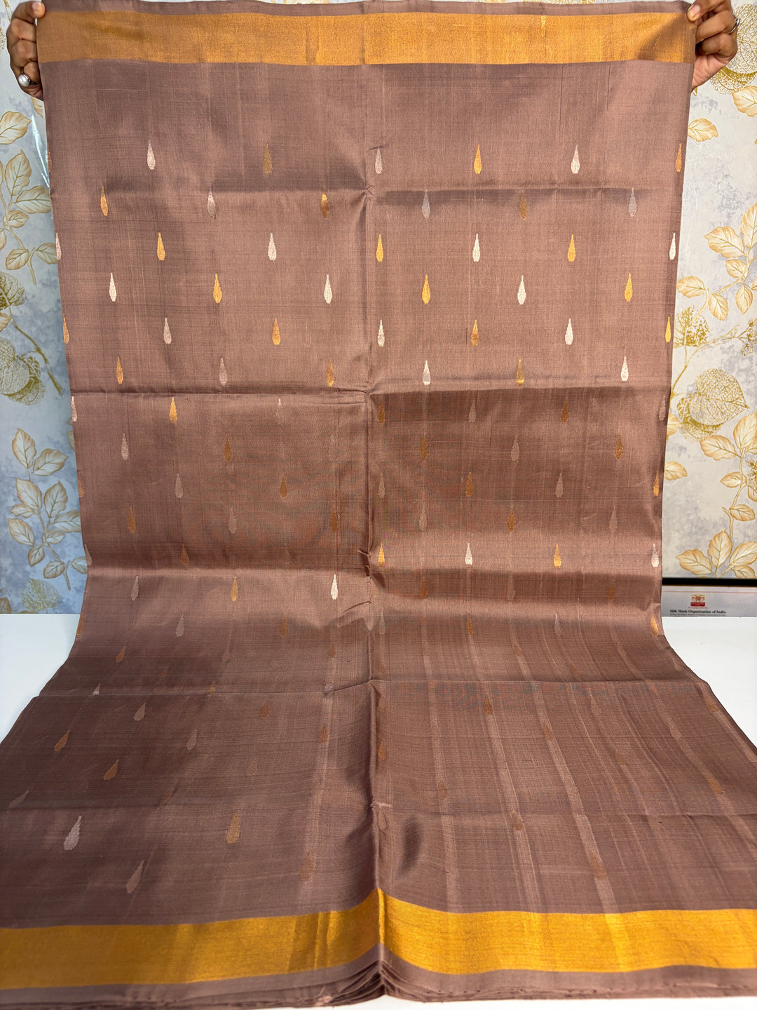 Arth - Handloom Uppada Jamdani Silk Saree