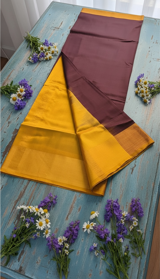 Brown Rang - Handwoven Uppada Silk Saree