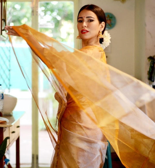 Sun And Sand- Handwoven Silver Gold Tissue Saree